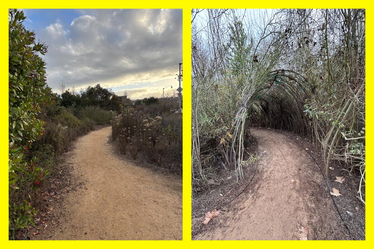 Two photos of dirt paths near Ballona Discovery Park