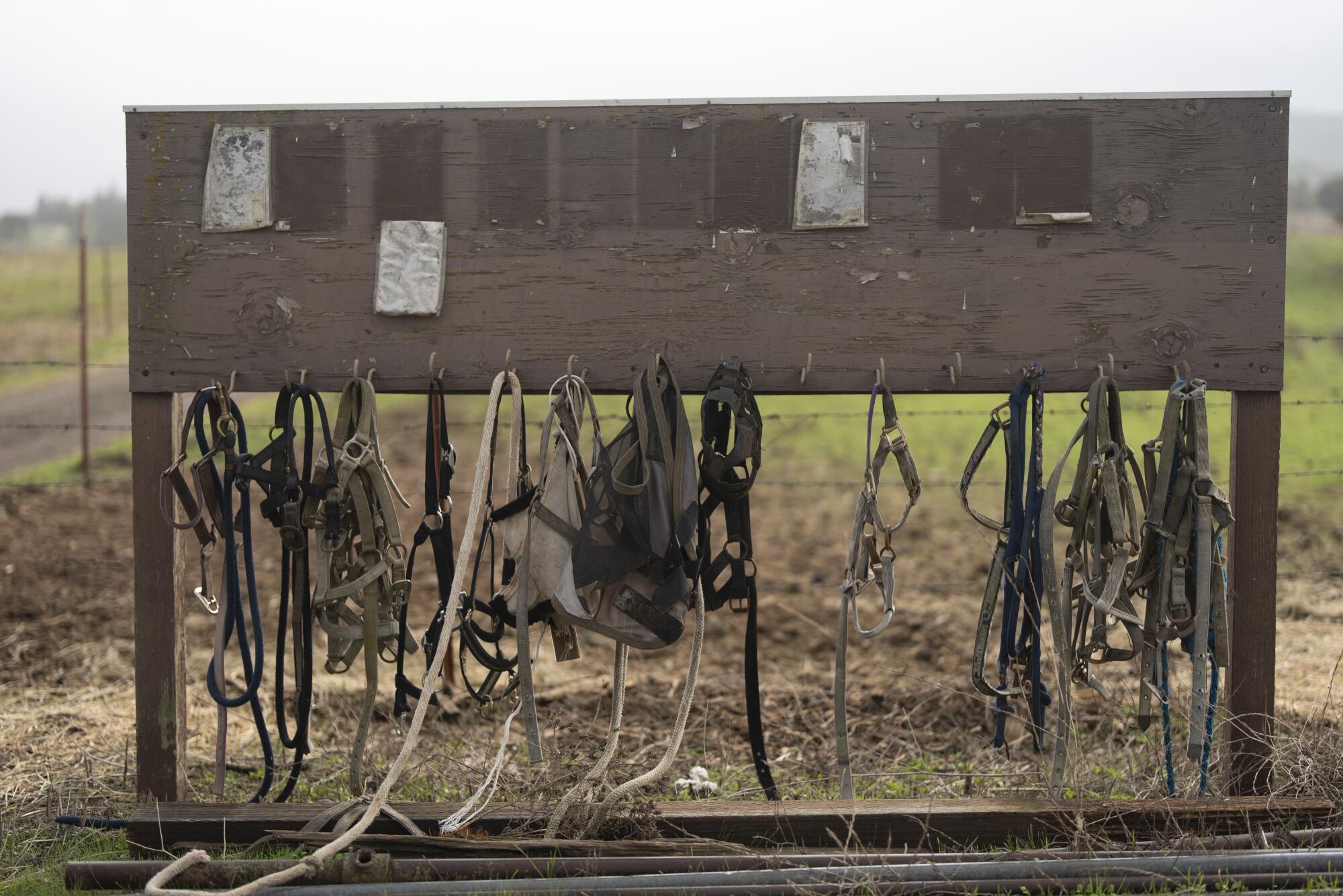 Horse reins hang at a pasture in Portola Valley.