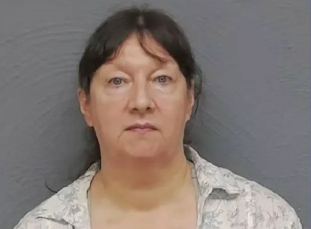 Nancy Ann Gerwatowksi, 60, was charged with the death of Baby Garnet after a DNA test