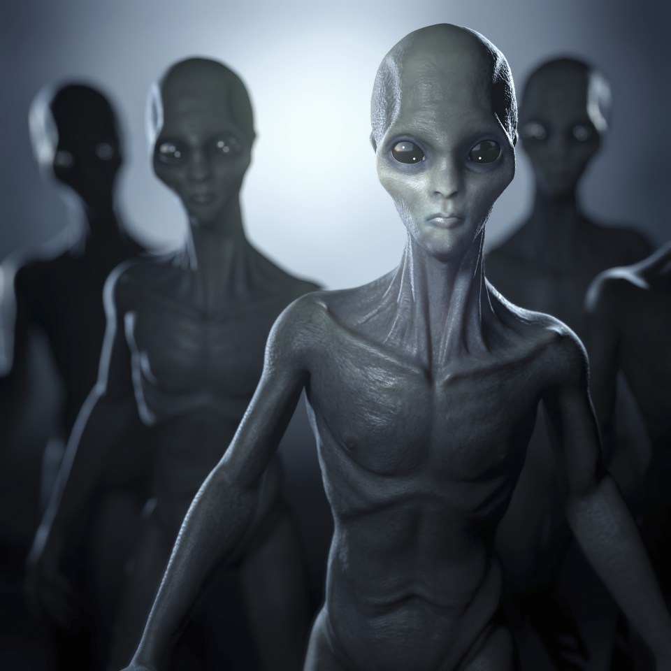 Self-proclaimed alien investigators say a group of 10ft, thin and light-skinned aliens built up the base off the Miramar Beach in Tampico, Mexico