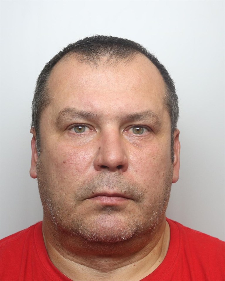 Dariusz Meczynski, 51, failed to stop at a red light and killed Patricia