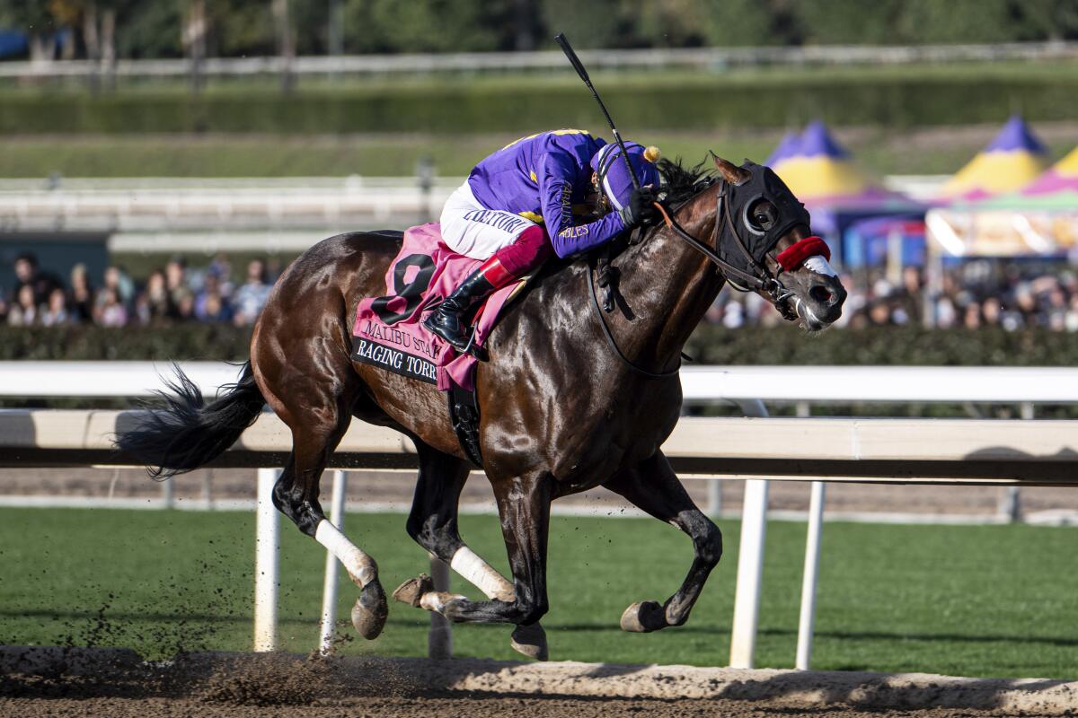 Raging Torrent, with jockey Lanfranco Dettori aboard, wins the Malibu Stakes at Santa Anita on Thursday.