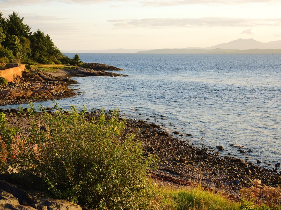 You might spot seals on the beach or a pod of dolphins swimming in the Firth of Clyde at Wemyss Bay