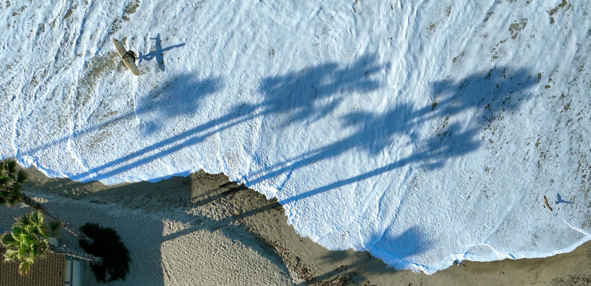 An aerial view of a surfer stepping into the wash, where palm trees cast long shadows