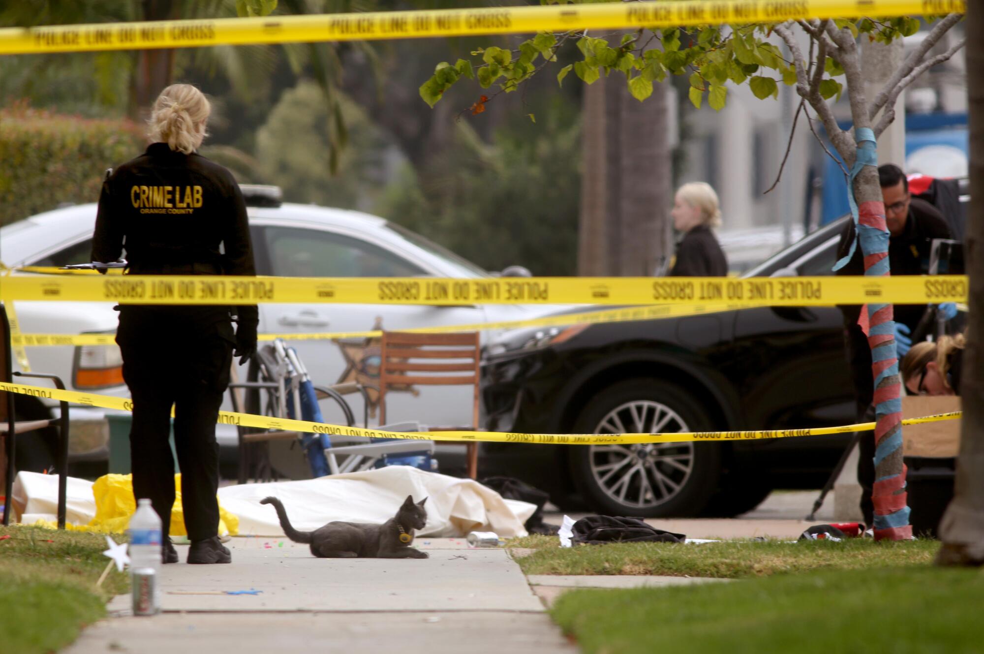 A cat sits on a sidewalk beside a body covered by a sheet and surrounded by police