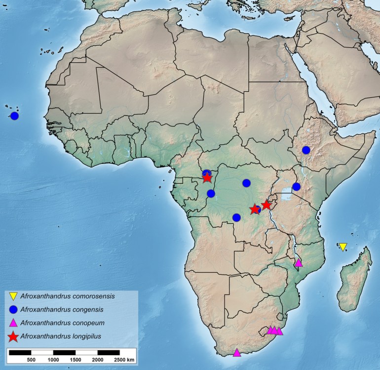 map showing the distribution of four different hover fly species from the same genus.