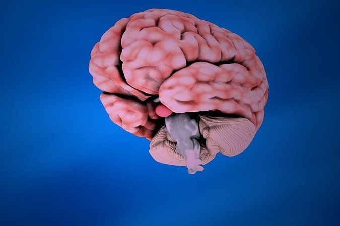 The University of Oxford defines the concept of "brain rot" as: "(n.) Supposed deterioration of a person's mental or intellectual state, especially viewed as a result of overconsumption of material (now particularly online content) considered to be trivial or unchallenging. Also: something characterized as likely to lead to such deterioration." File Photo by Raman Oza/Pixabay