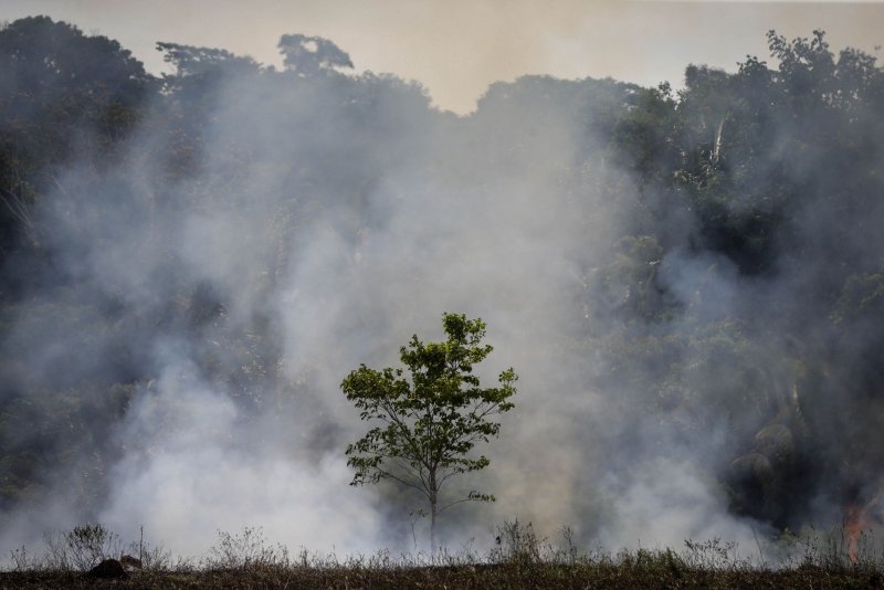 A major law aimed at curbing deforestation by requiring importers in the European Union to prove their worldwide supply chains are not causing more trees to be felled has been pushed back by a year. File photo by Fernando Bizerra Jr./EPA-EFE