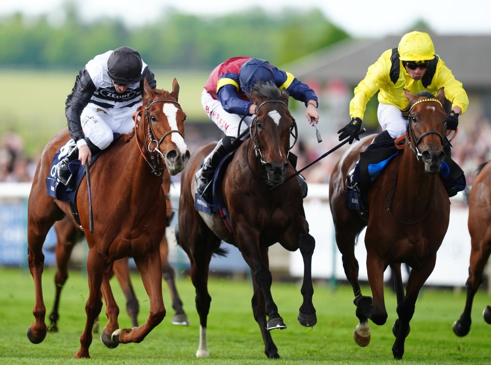 Get £30 in free bets for horse racing when you stake £10 with talkSPORT BET