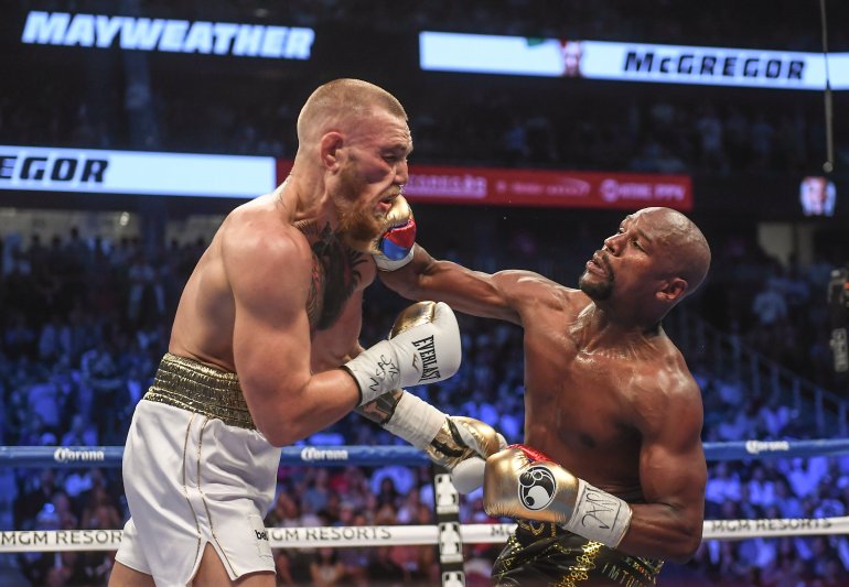 Boxer in ring.