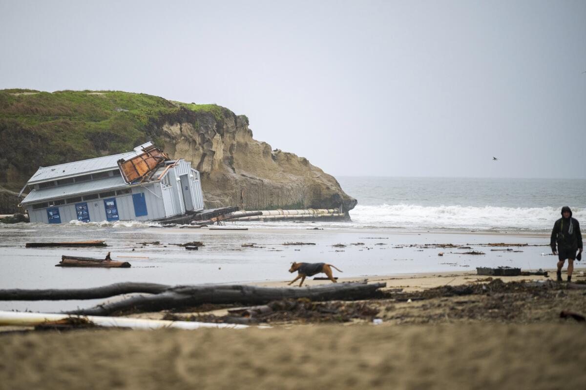 Remnants of a structure sinking into the sand and water in front of a bluff as a dog and person pass