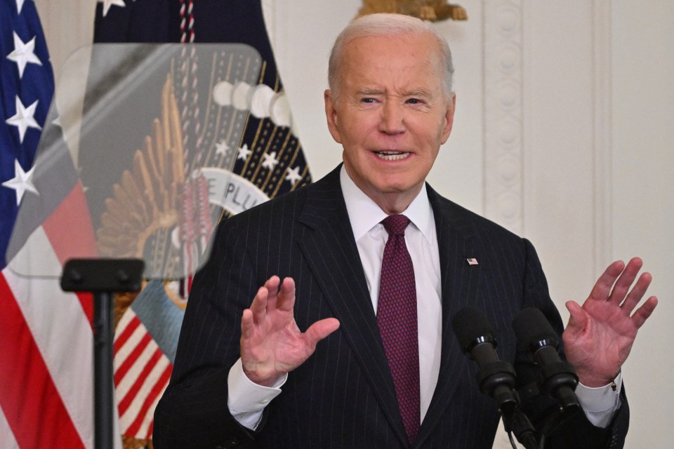 US President Joe Biden has decided to pardon his son Hunter Biden