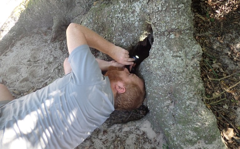 John collecting fly larvae from a rot hole in a tree at Kosi Bay. This might look like an open area, it’s a campsite within a forest_-1732376948