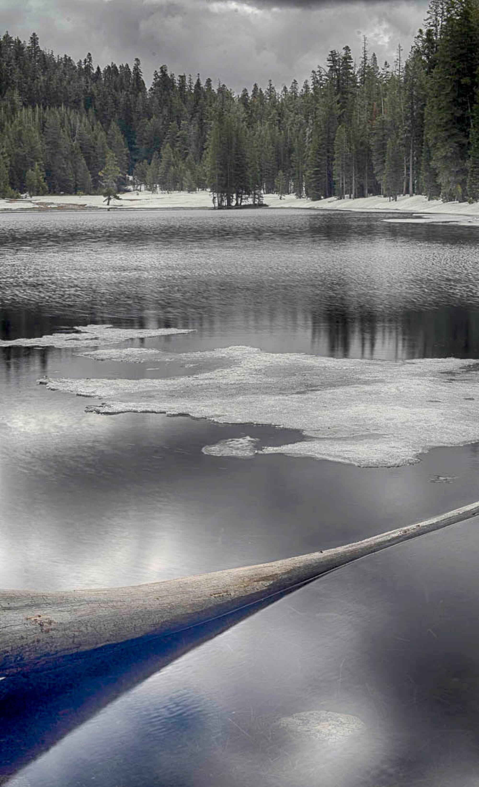 Lukens Lake is a short hike from Highway 120, or Tioga Road.