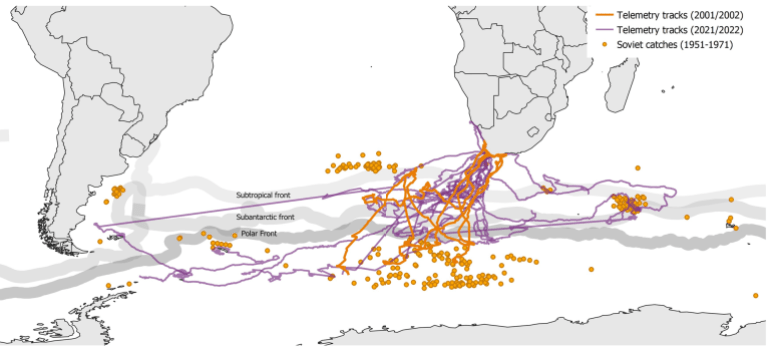 Map shows whale movement patterns of Southern right whales. [Courtesy of the Whale Unit of University of Pretoria’s Mammal Research Institute]