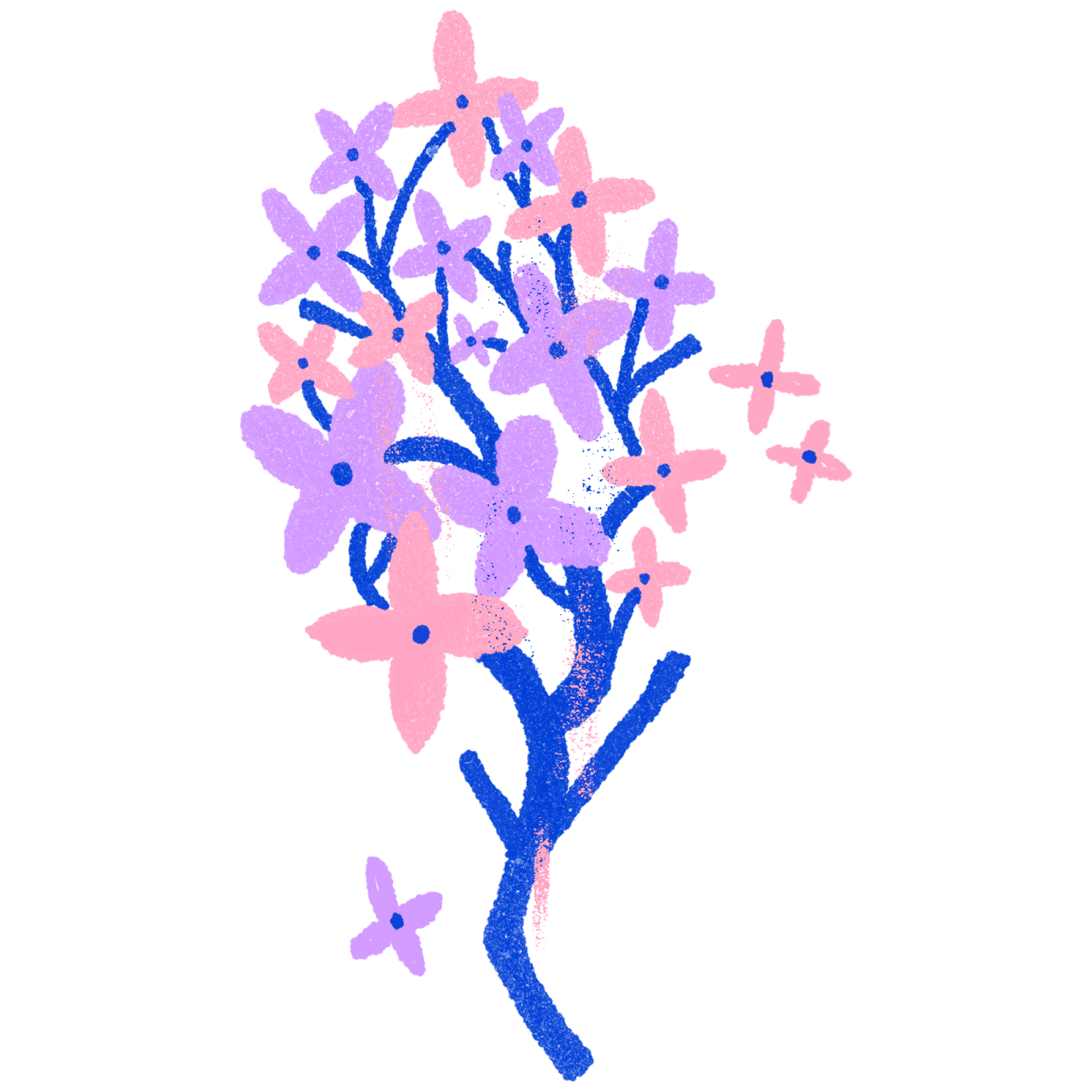 Illustration of lilacs