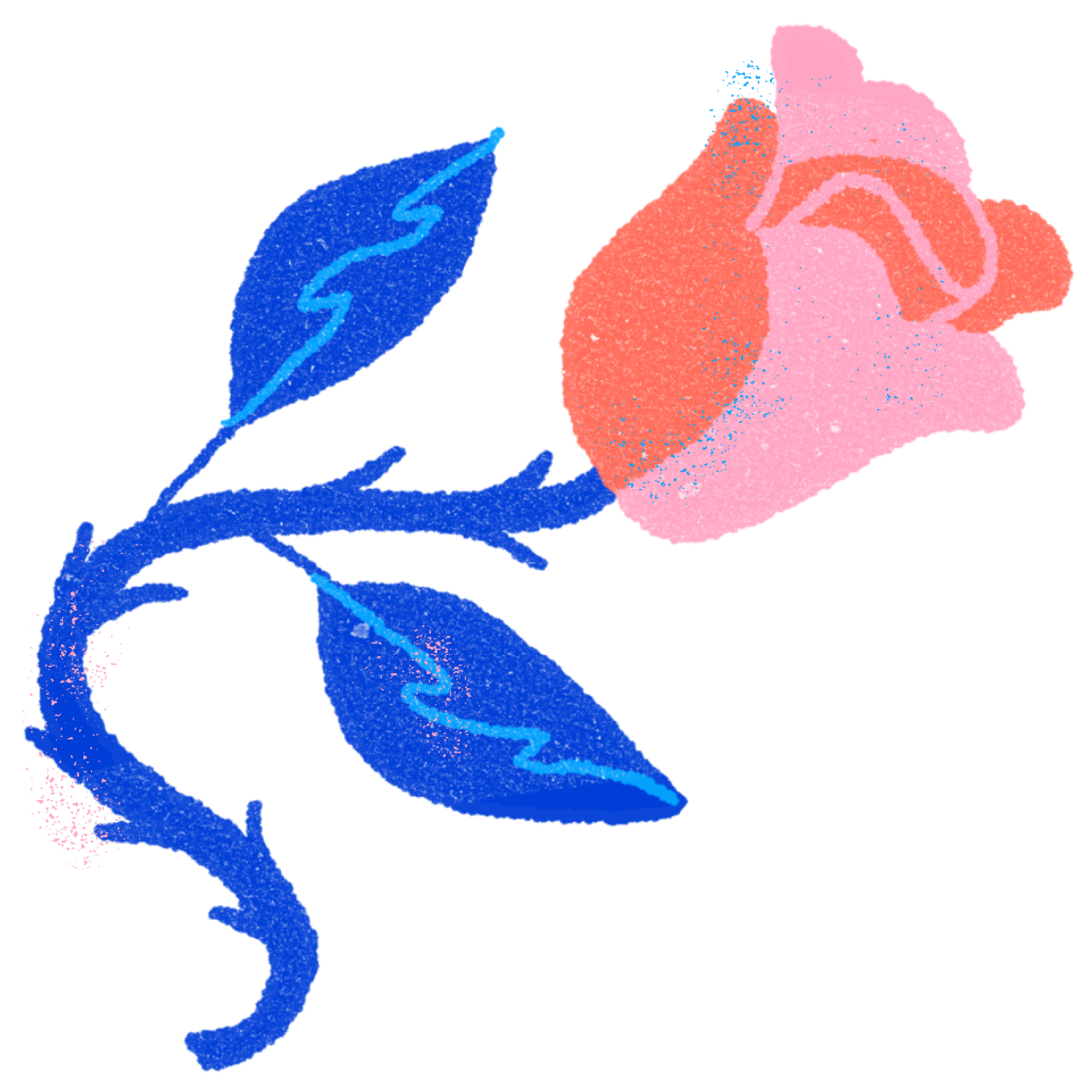 Illustration of a rose