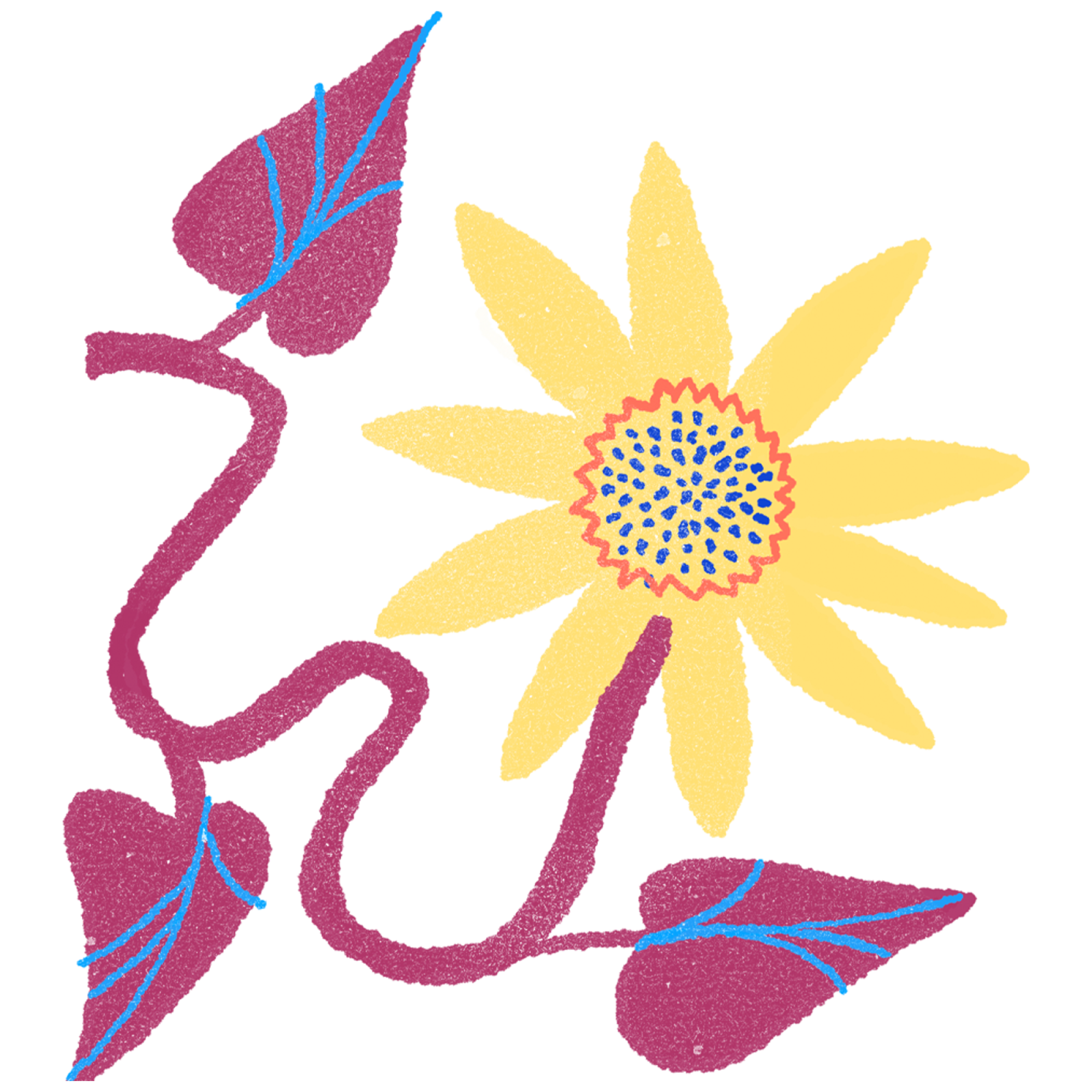 Illustration of a sunflower