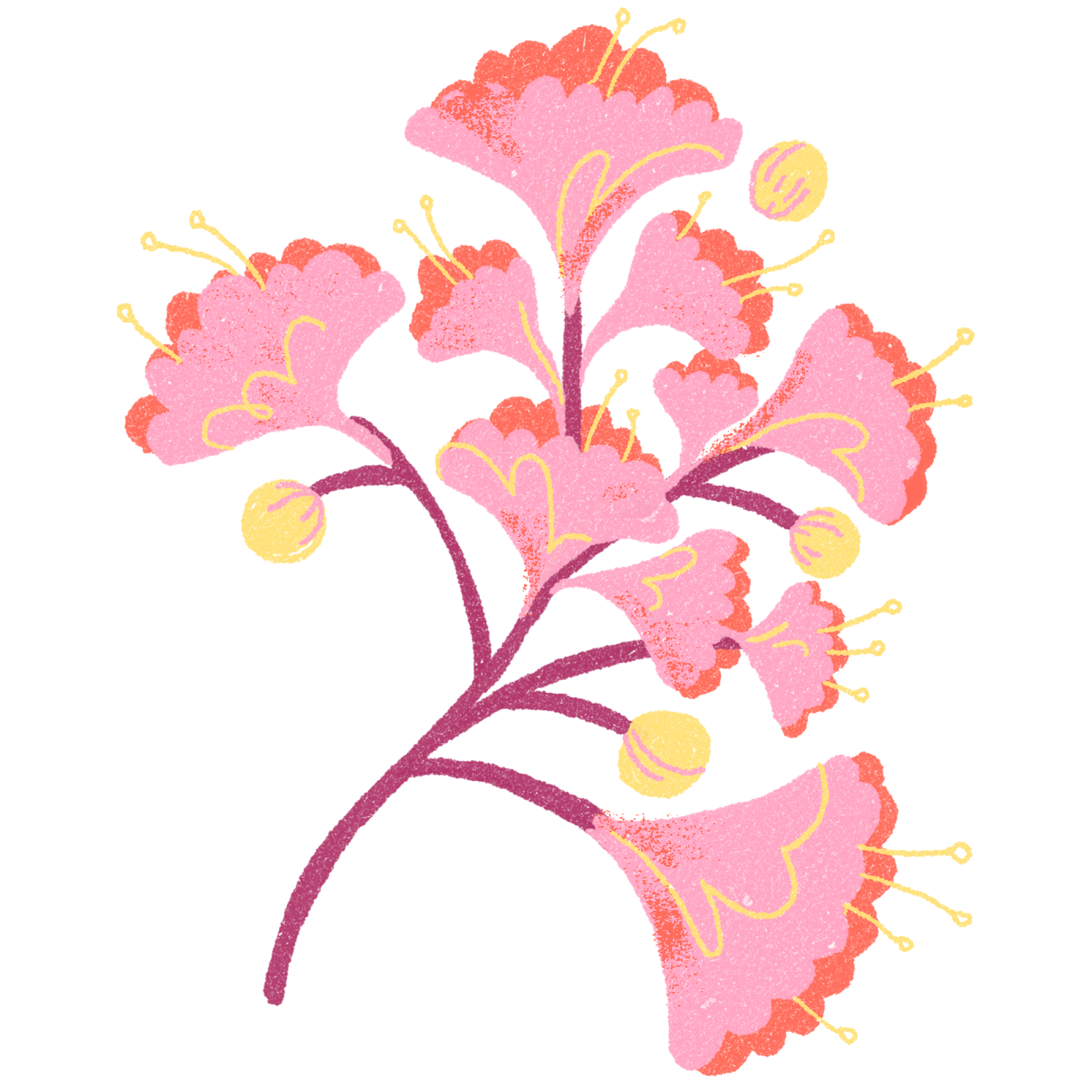 Illustration of Crape Myrtles