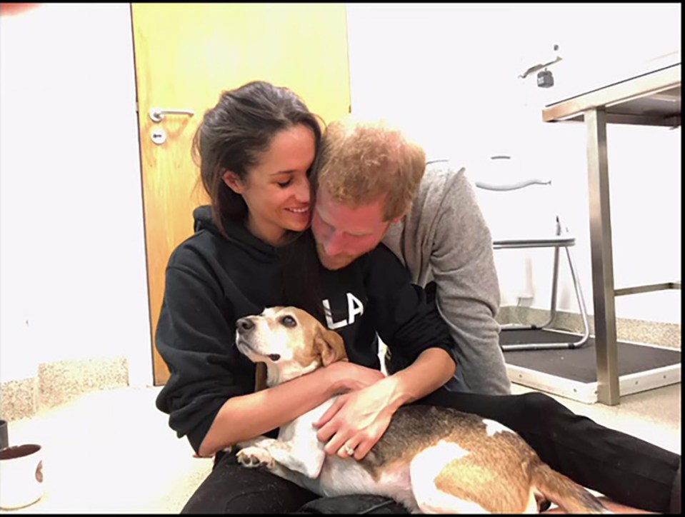 Meghan Markle and Prince Harry hugging their dog.