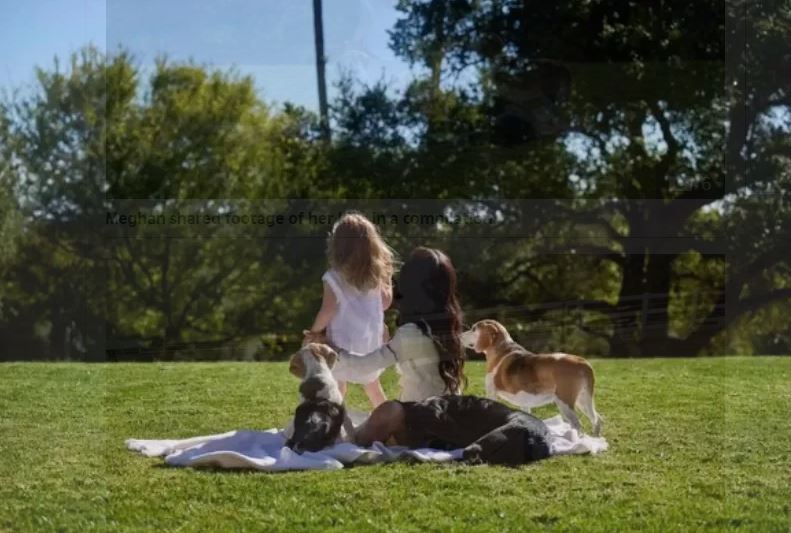 Woman and child sitting on a blanket in a park with three dogs.