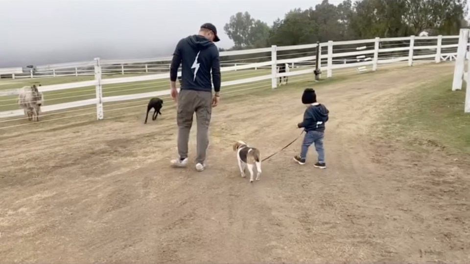 A man and a young child walk a dog on a leash near a fence with animals.