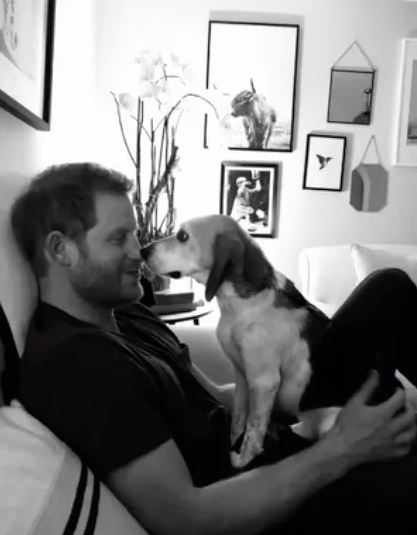 Black and white photo of Prince Harry cuddling a beagle.