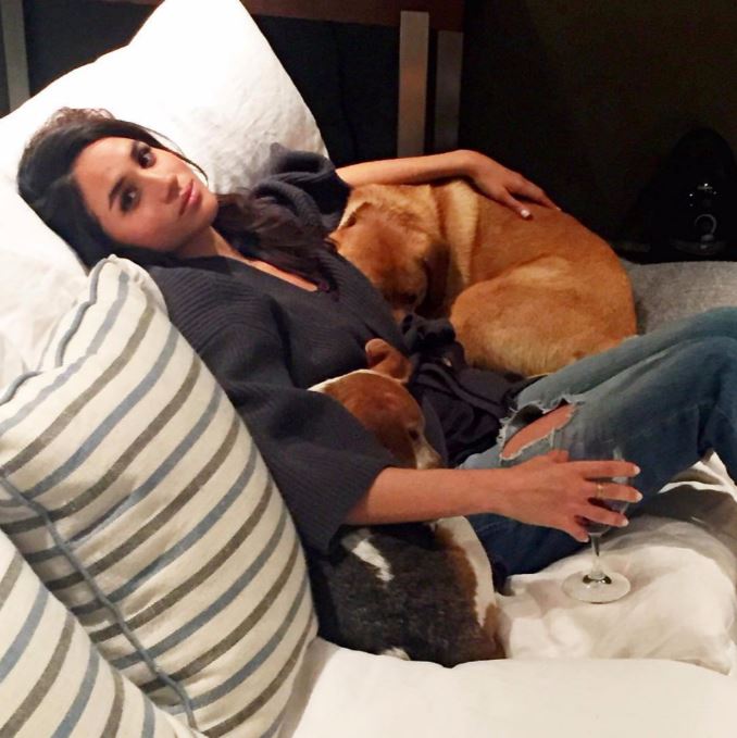 Meghan Markle cuddling with her dogs.