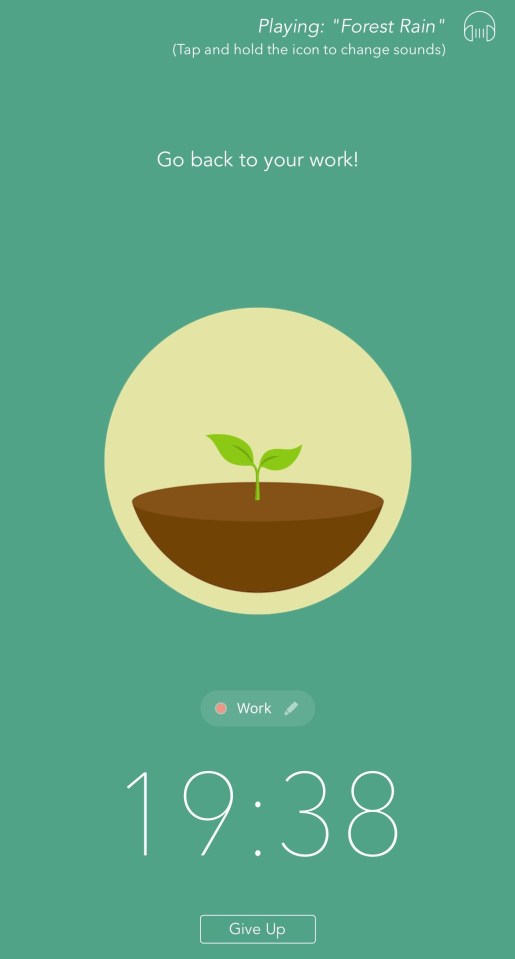 App screen showing a timer at 19:38, a plant growing in soil, and the text "Go back to your work!"