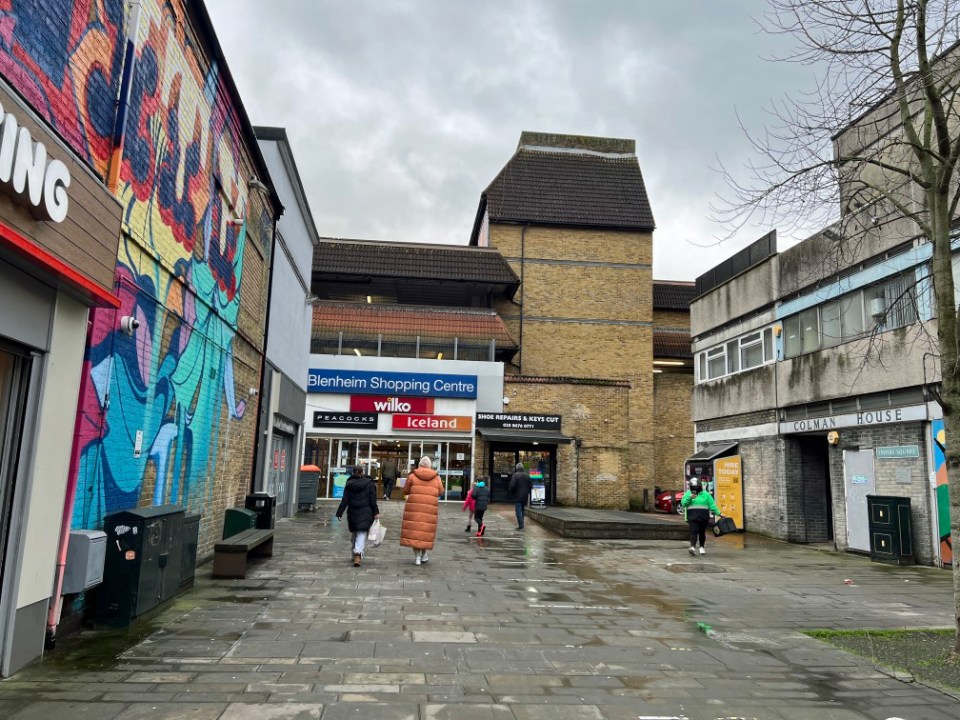 The Hadley Property Group has been granted planning permission by Bromley Council to demolish the Blenheim Centre, at .140 High St, London SE20 7EU; .and replace it with a massive, super dense housing development which includes a 16 storey tower block. The Sun went to investigate..A GV of the centre...