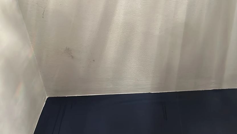 Mould stains on a light beige wall above a dark blue baseboard.