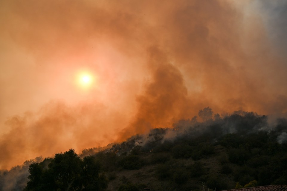 CALIFORNIA, USA - JANUARY 11: 'Palisades Fire' near Brentwood neighborhood in Los Angeles, California, United States on January 11, 2025. (Photo by Tayfun Coskun/Anadolu via Getty Images)