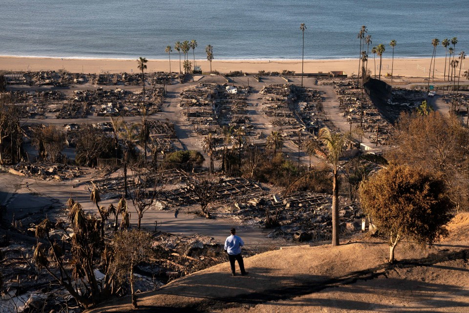 The damage from the Palisades Fire in the Pacific Palisades neighborhood in Los Angeles