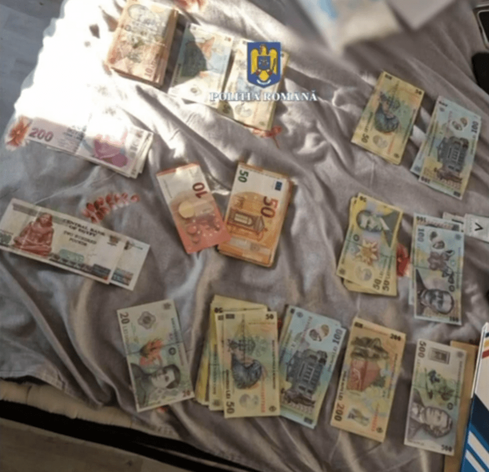 Stacks of Romanian leu and euro banknotes.