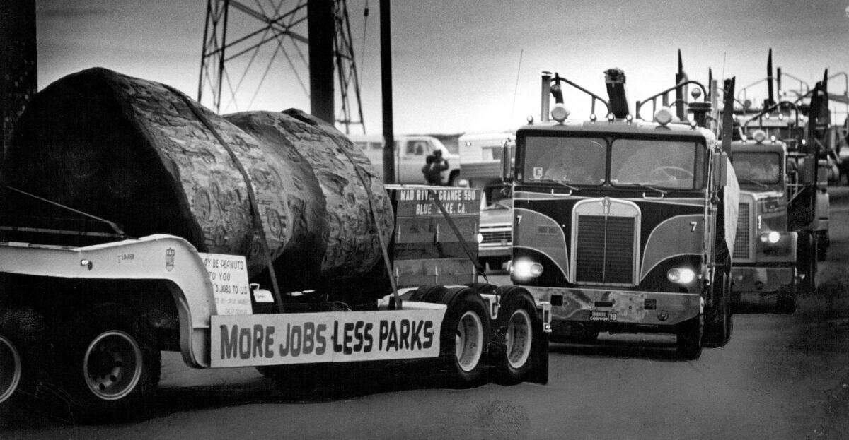 A logging truck bears a sign reading "more jobs, less parks."