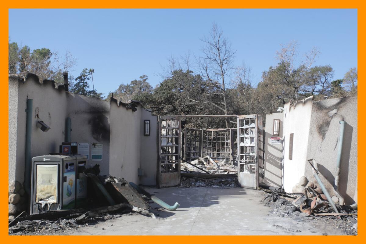 The walkway leading to the entrance of The Eaton Canyon Nature Center is surrounded by burnt destruction.