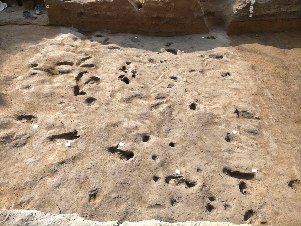 Bronze Age footprints preserved in volcanic ash.