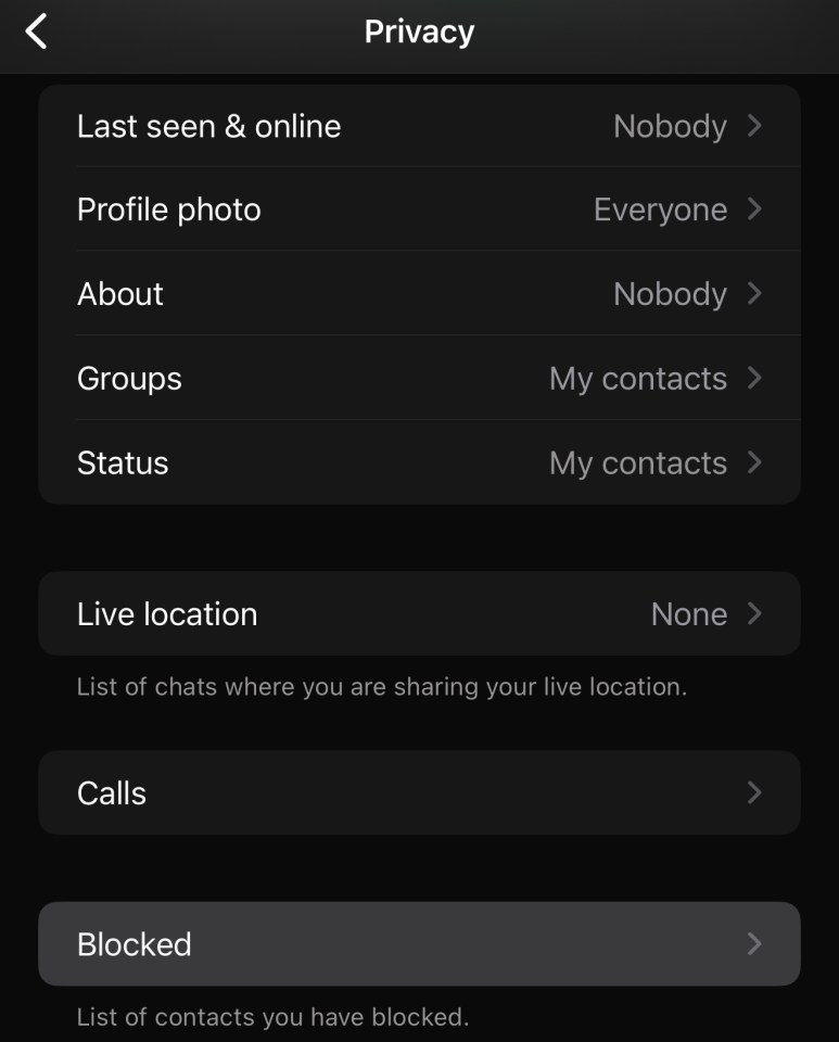 WhatsApp privacy settings showing blocked contacts.