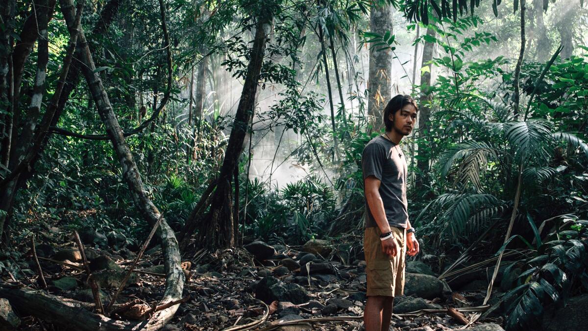 A man stands in a forest.