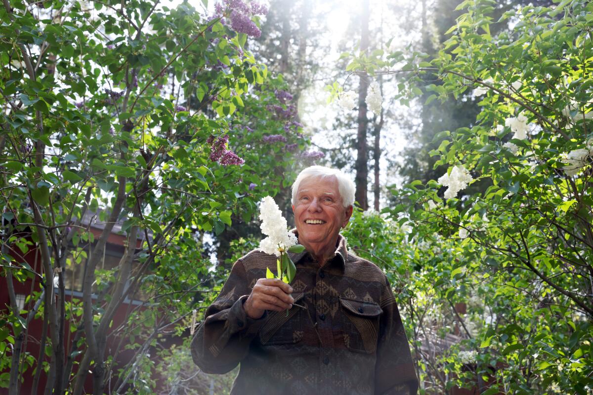 A white-haired man holding a white lilac flower and surrounded by other blooming lilacs