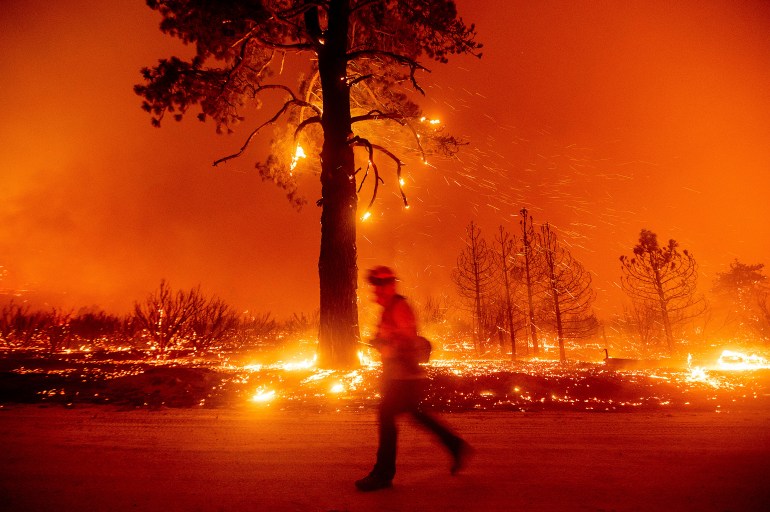 A firefighter battles the Dixie Fire shortly after it jumped Highway 395 south of Janesville in Lassen County, Calif., on Monday, Aug. 16, 2021. Critical fire weather throughout the region threatens to spread multiple wildfires burning in Northern California. (AP Photo/Noah Berger)