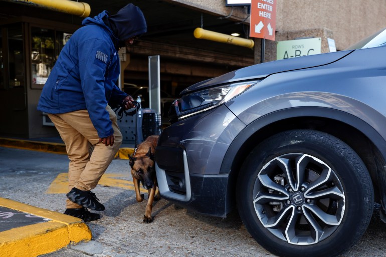 A bomb-sniffing dog checks a vehicle in New Orleans