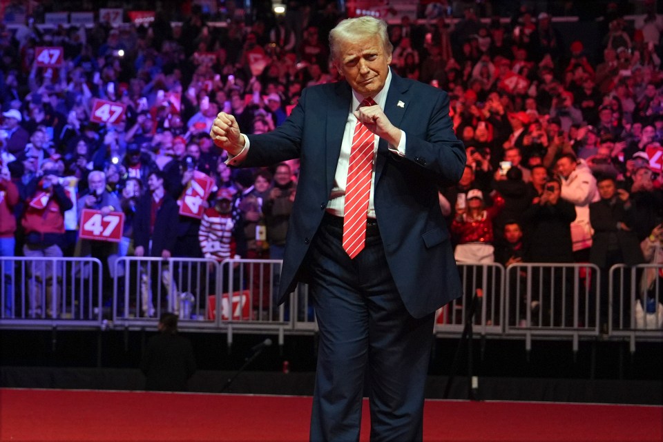 President-elect Donald Trump dancing at a rally.