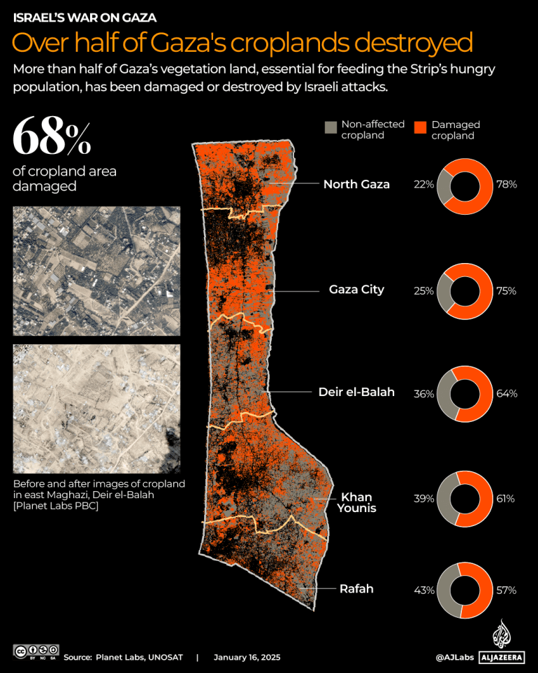 INTERACTIVE-WHATS LEFT OF GAZA-CROPLAND-JAN 16-2025-1737037310