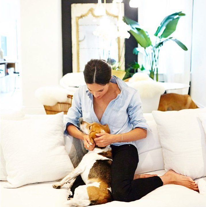 Meghan Markle petting her rescue beagle.