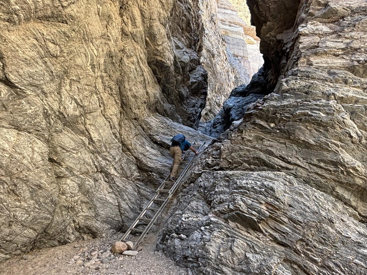 Russell Scofield descends a ladder at the Mecca Hills Wilderness in Chuckwalla National Monument on Feb. 1.