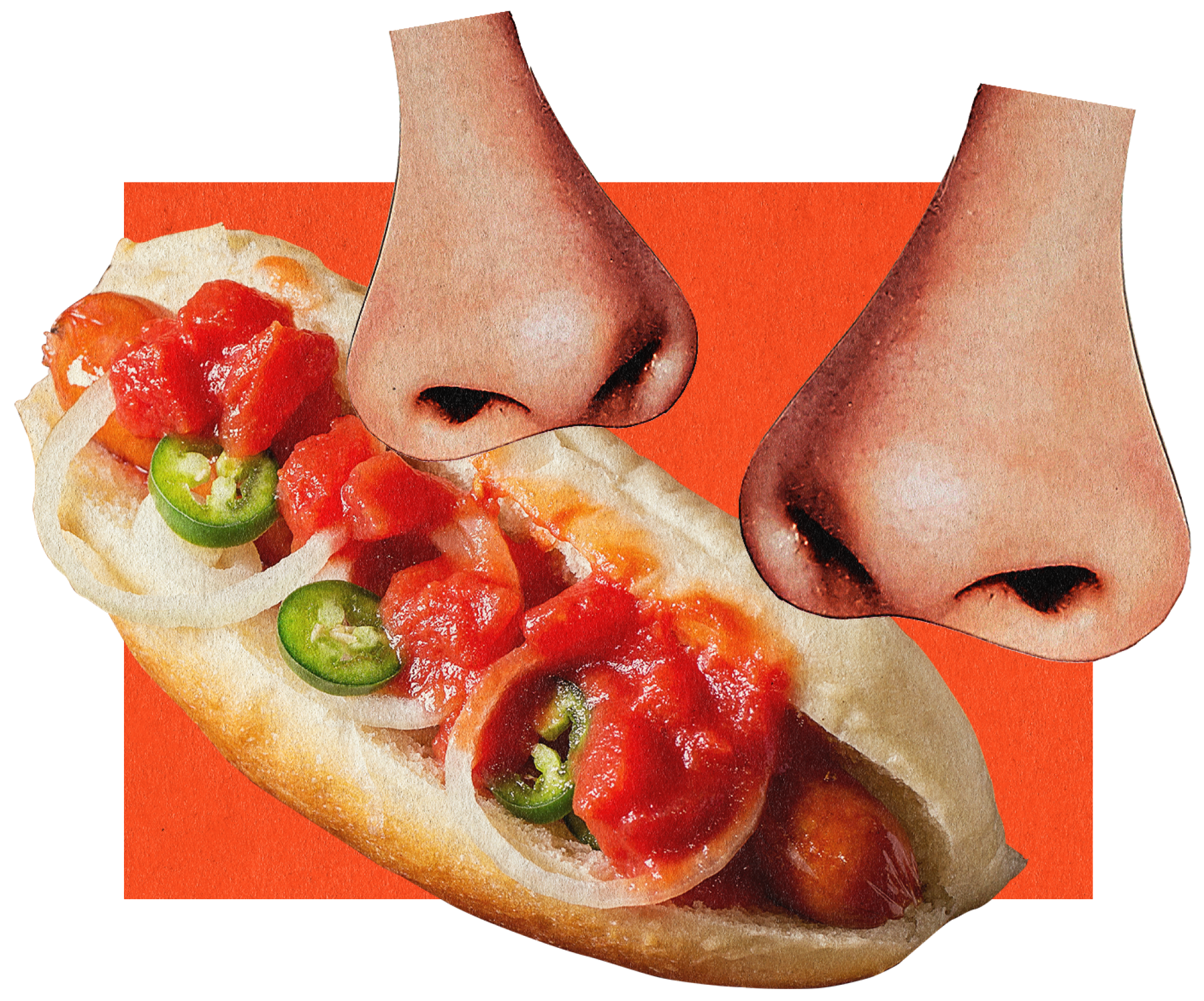 collage illustration of two noses and a sausage sandwich with onions and jalapeño peppers on an orange square