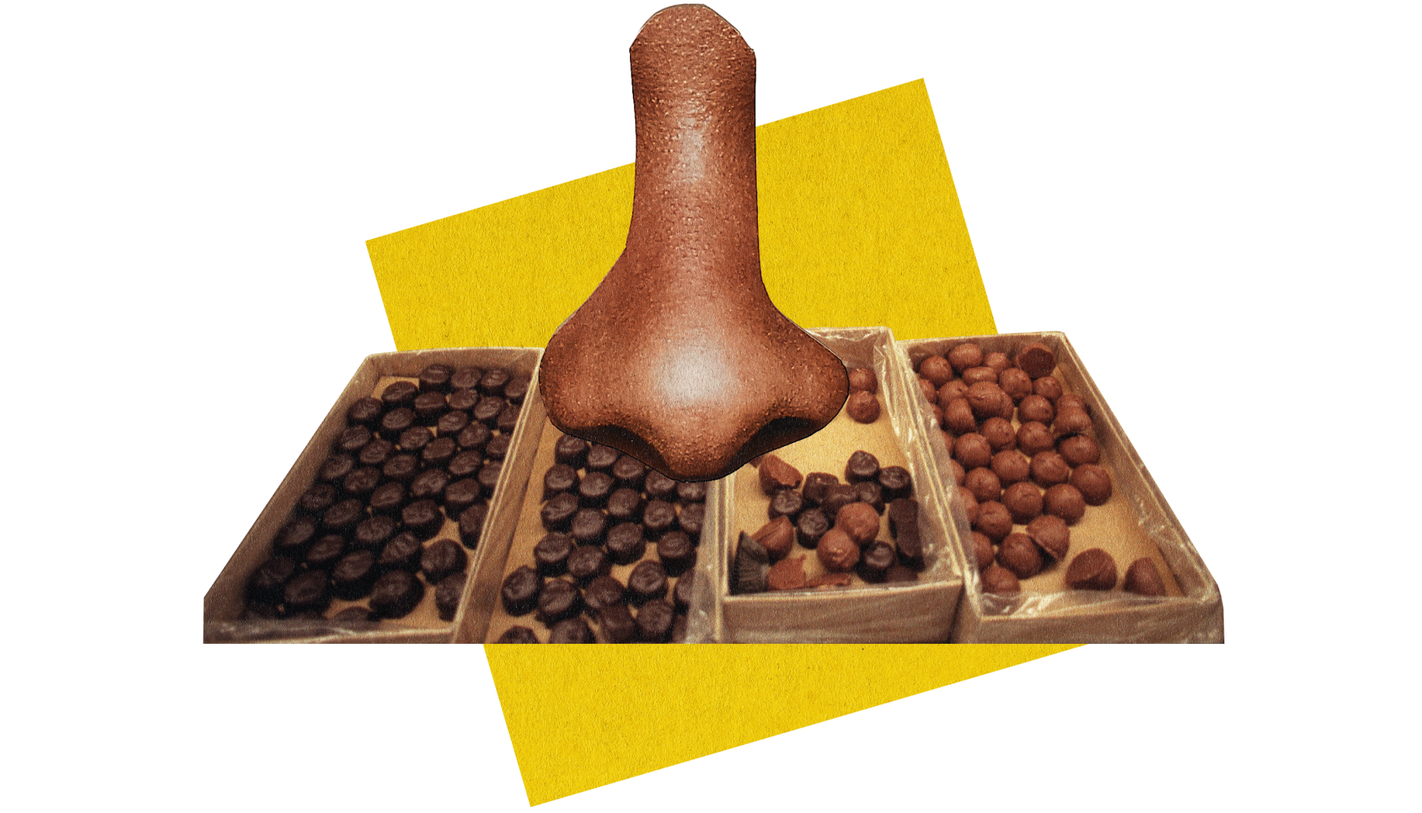 photo collage illustration of See's candies and a nose with a yellow square