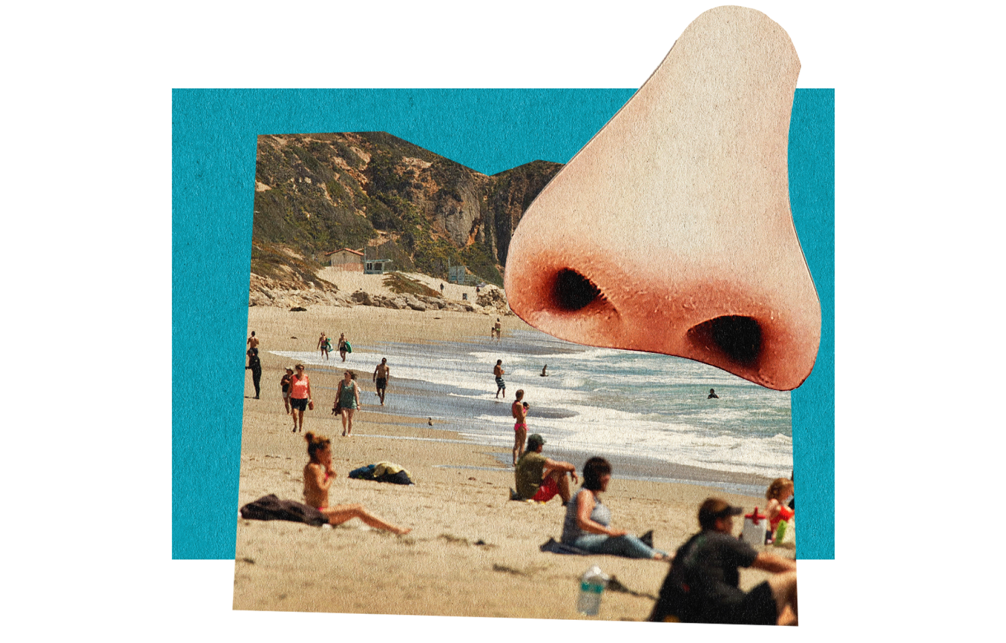 photo collage illustration of a nose and a photo of a malibu beach with a blue rectangle