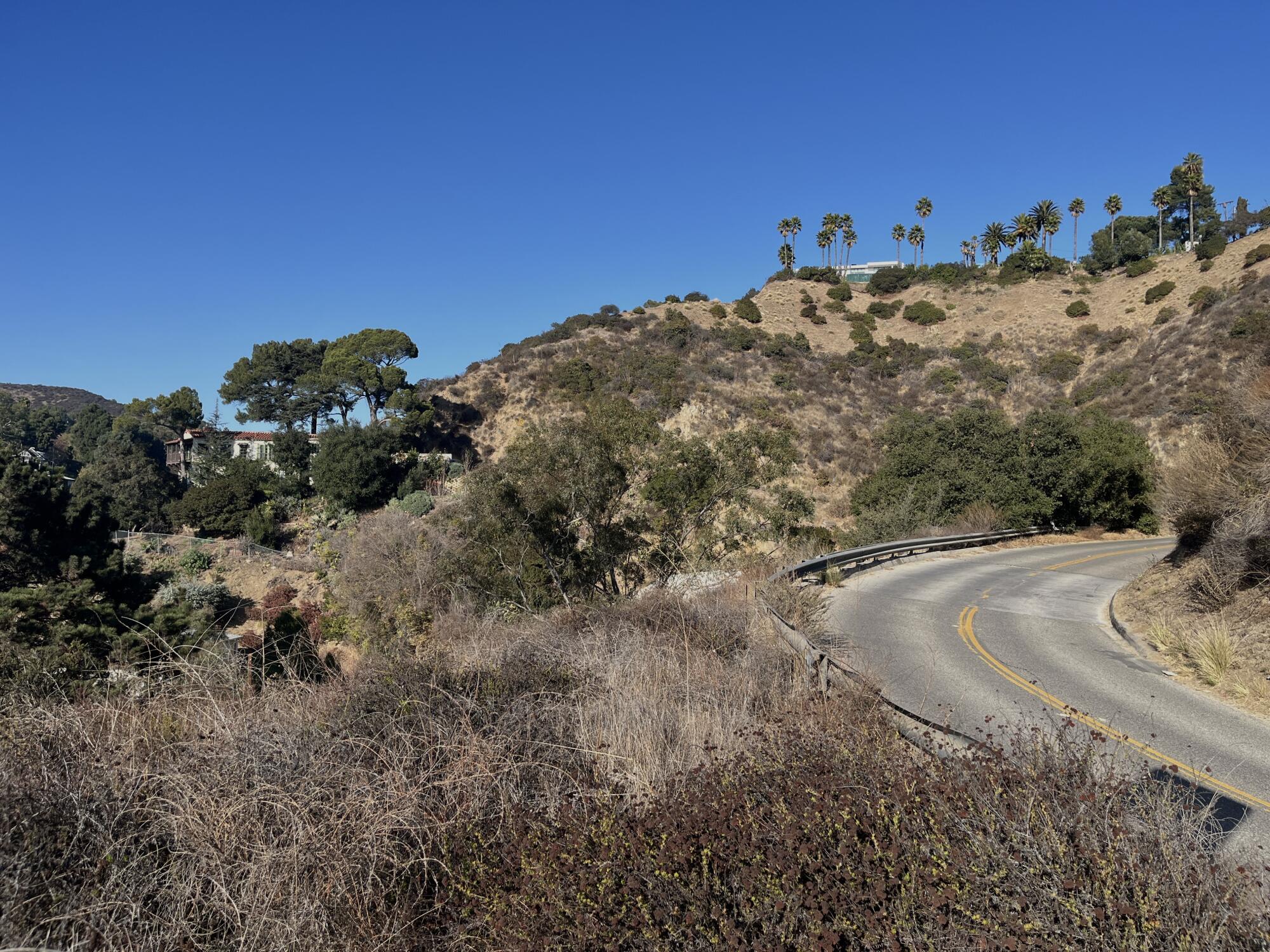 A bend in the road on Nichols Canyon Road.